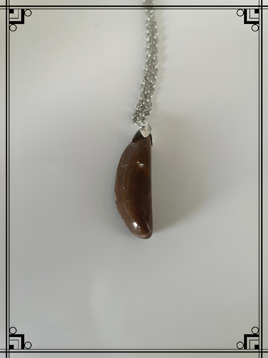 BJ0006 Brown Jasper Pendant, Bright Silver Chain