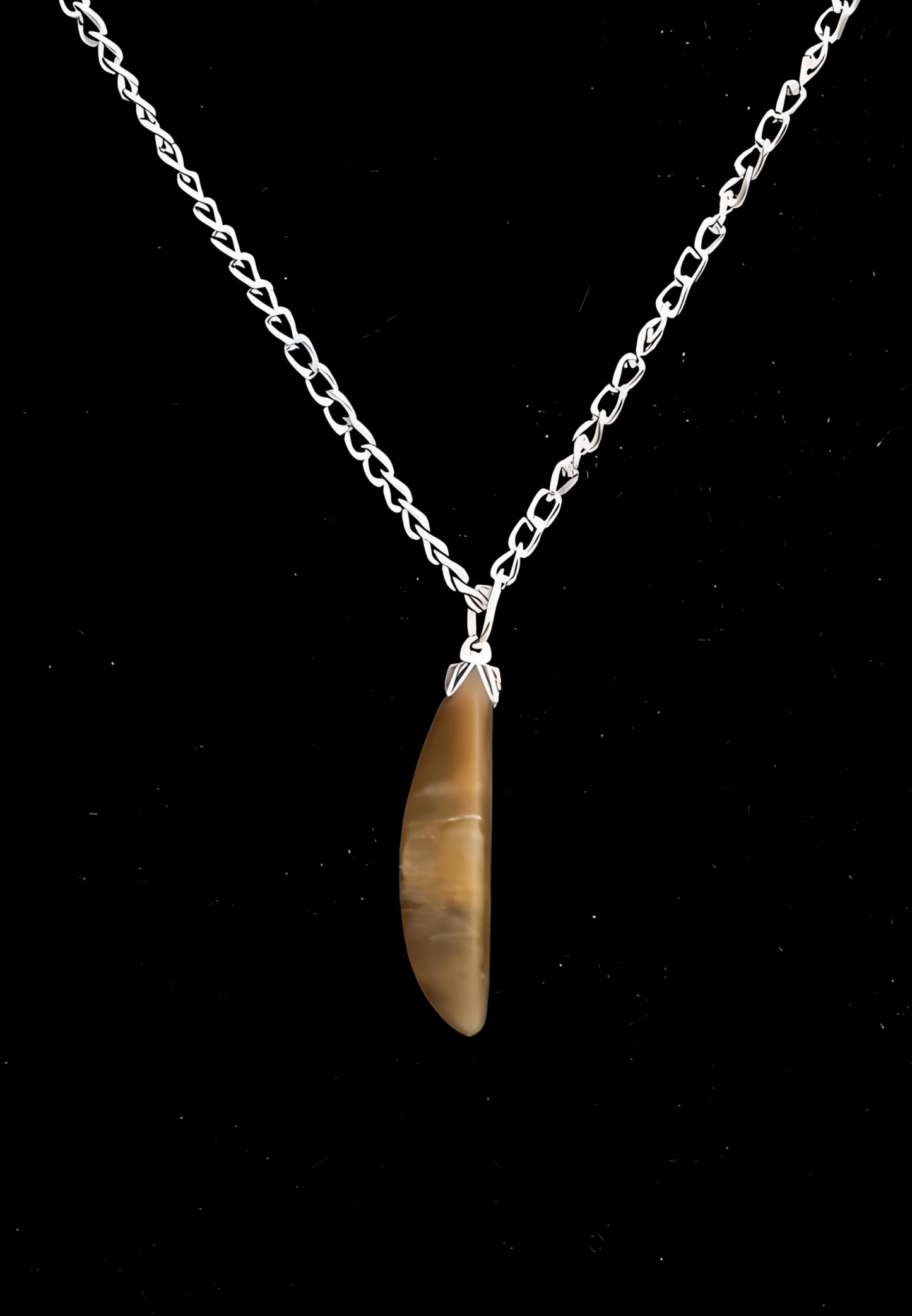 BRJ0003 Bruneau Jasper Pendant on Silver Chain