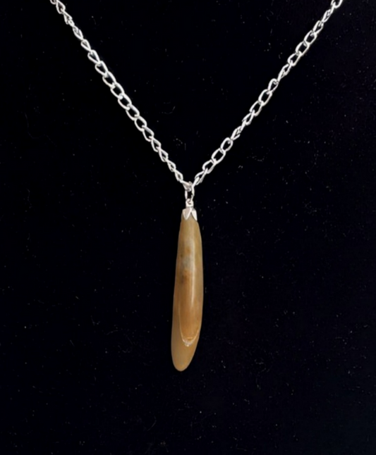 BRJ0004 Bruneau Jasper Pendant on Silver Chain