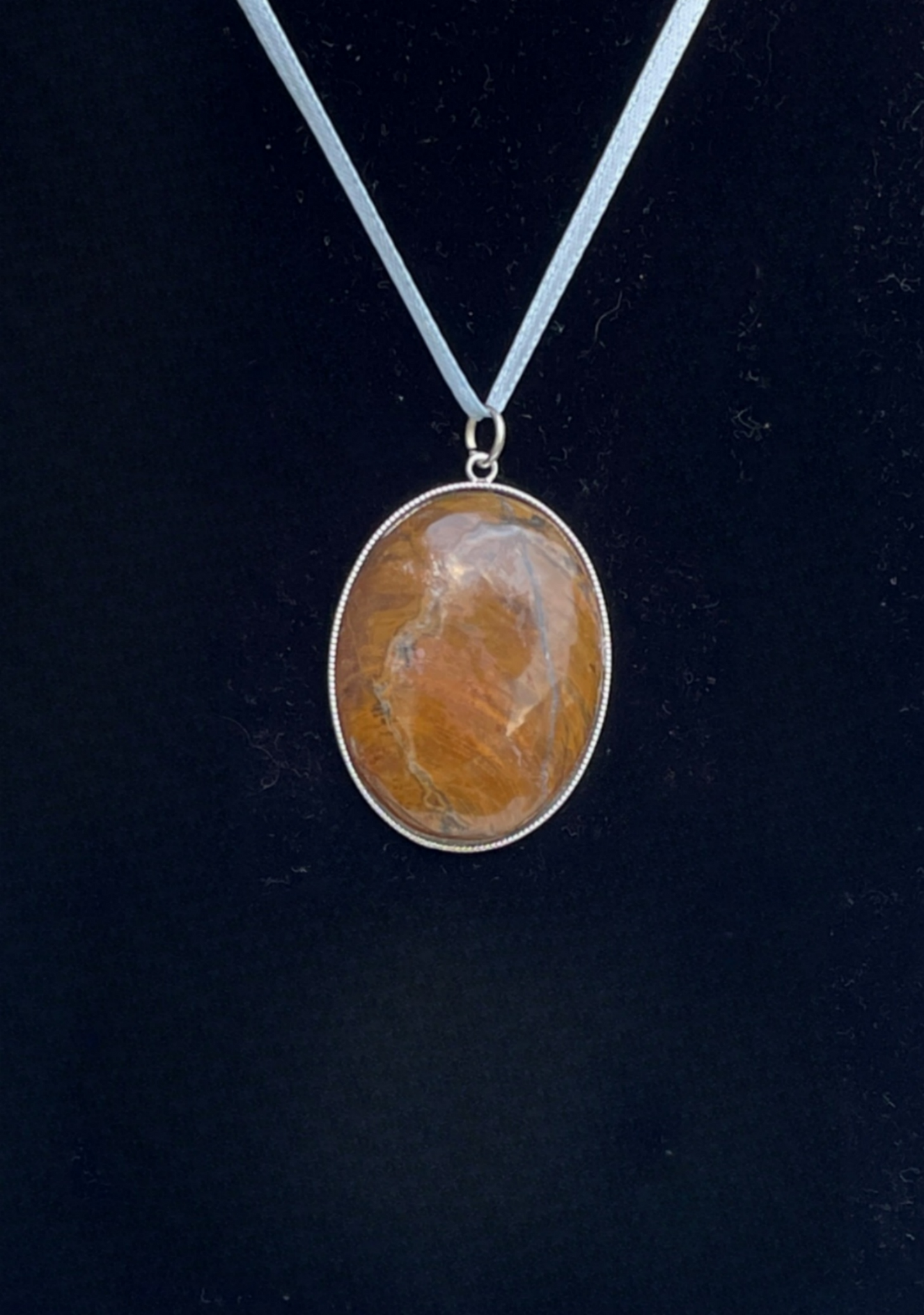 PW0004 Large Oval Petrified Wood Pendant In Sterling Silver Bezel